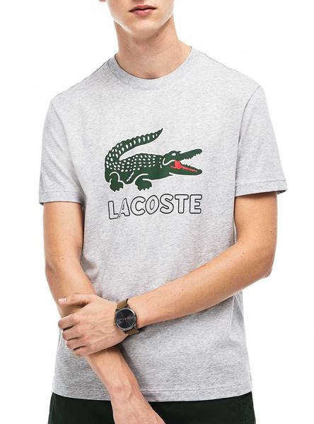 Camiseta Niño LACOSTE Marino Cocodrilo